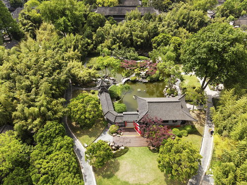 活化古典園林，賦能‘最江南’——探訪江蘇省文化和旅游重點實驗室園林